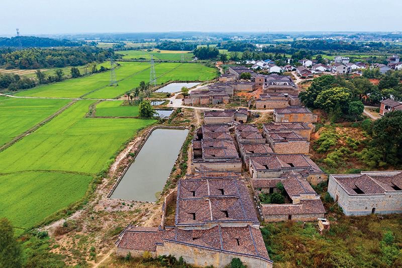 江西省抚州市金溪县秀谷镇褐源村,成片的古屋修缮一新,与田园,树林