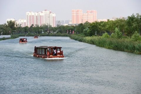 游船在京杭大运河沧州中心城区段行驶。