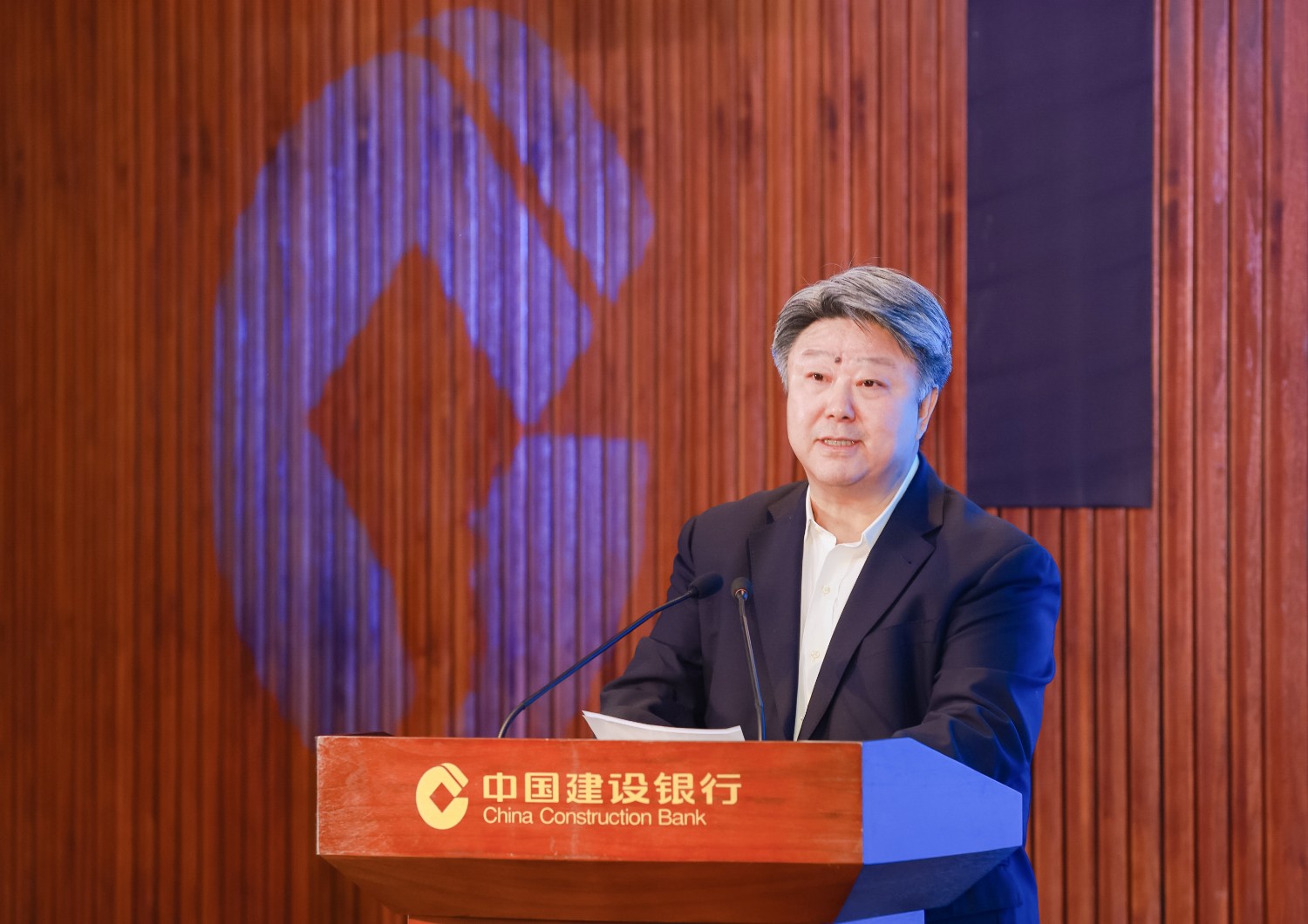 中国银联总裁蔡剑波发言