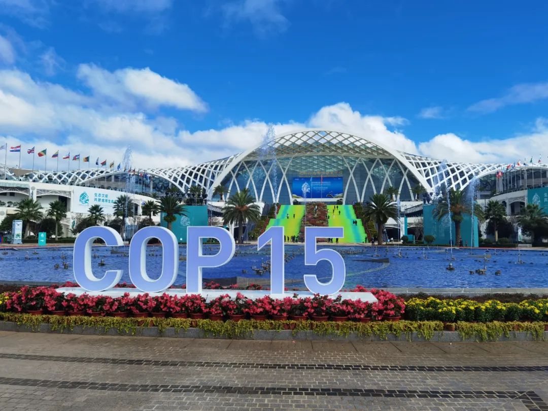 图丨《生物多样性公约》第十五次缔约方大会(cop15)昆明会场