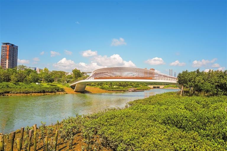 前海石公园桂湾河水廊区级湿地公园风光(6月5日摄).