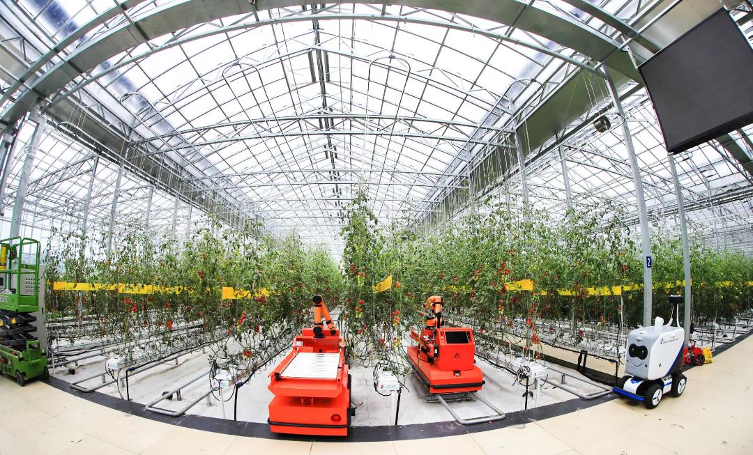 寿光型智能玻璃温室内,多功能作业机器人,喷药机器人,巡检机器人等在