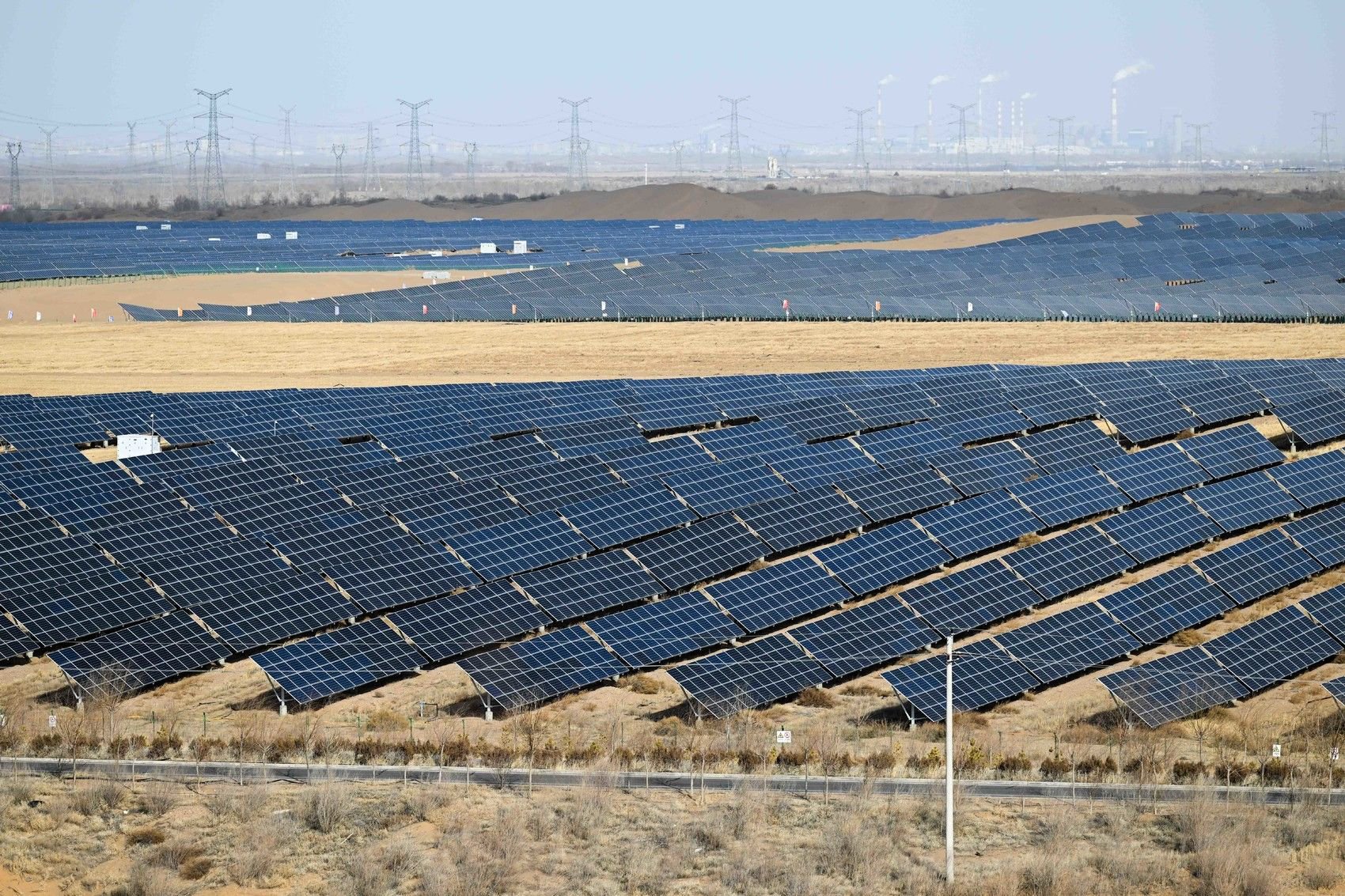 (2023年3月3日摄).新华社记者 贝赫 摄