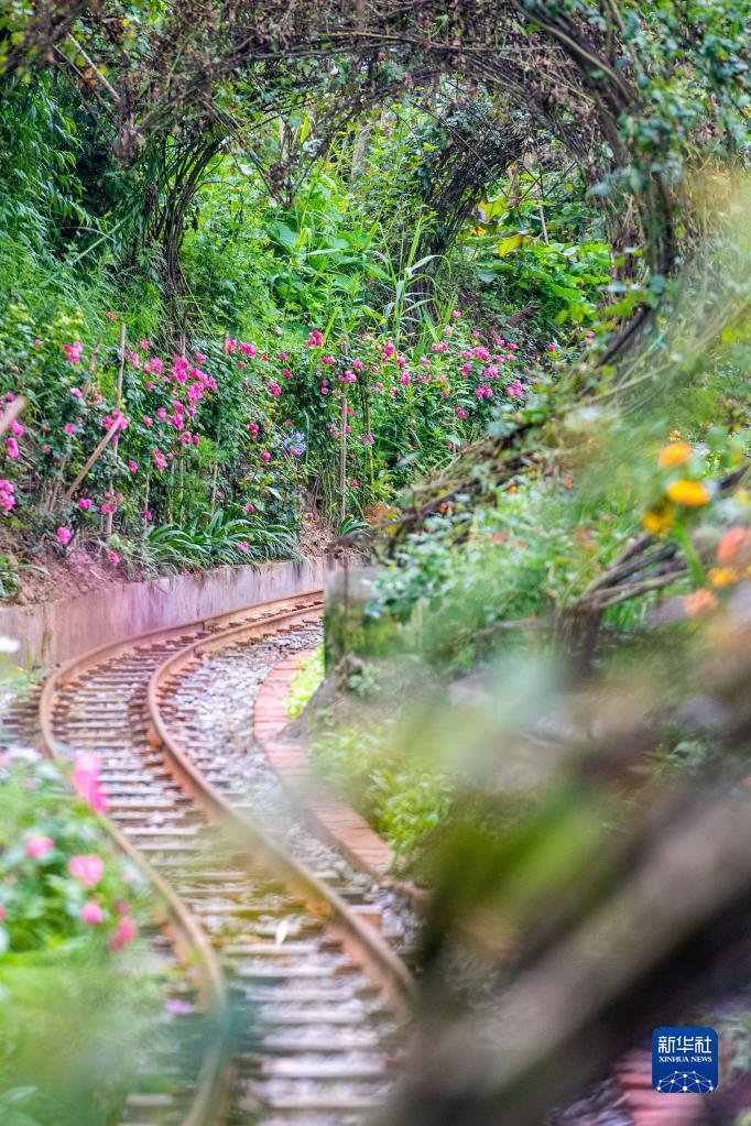 这是6月8日拍摄的黎明古村景色.新华社记者 唐奕 摄