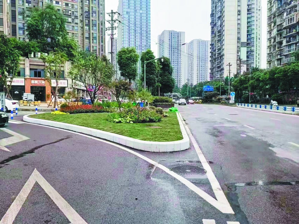 安全岛变绿地景观 沙区转角遇见美_新浪财经_新浪网