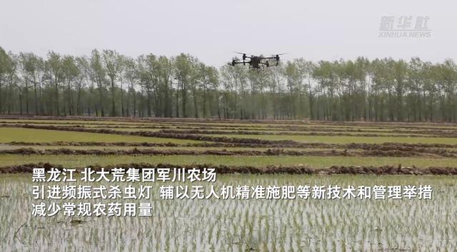  珍惜粮食，从我做起！从农田到餐桌 节粮减损进行时(图3)