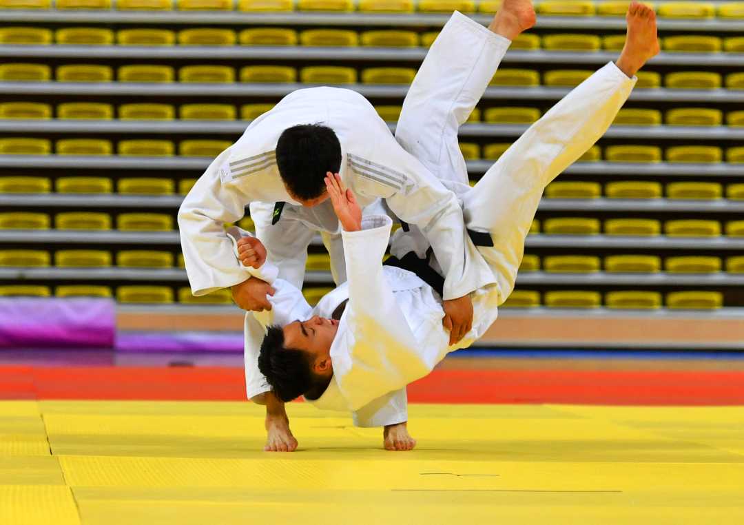 (组图)2023 年中国大学生柔道形锦标赛河北迁安举行|柔道_新浪财经