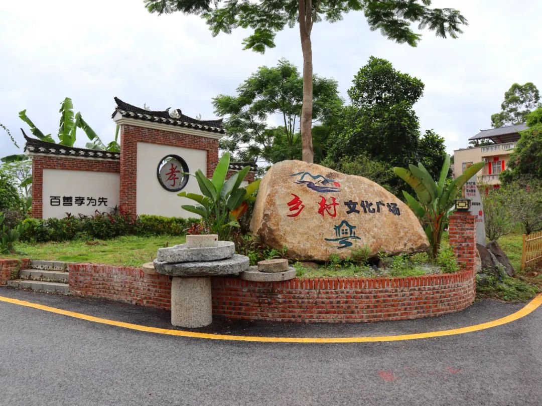 湛江这条村频频出圈!给乡村振兴带来怎样的示范?