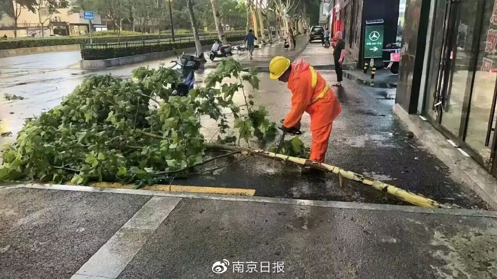 玄武区龙蟠中路