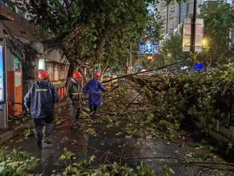 玄武区龙蟠中路