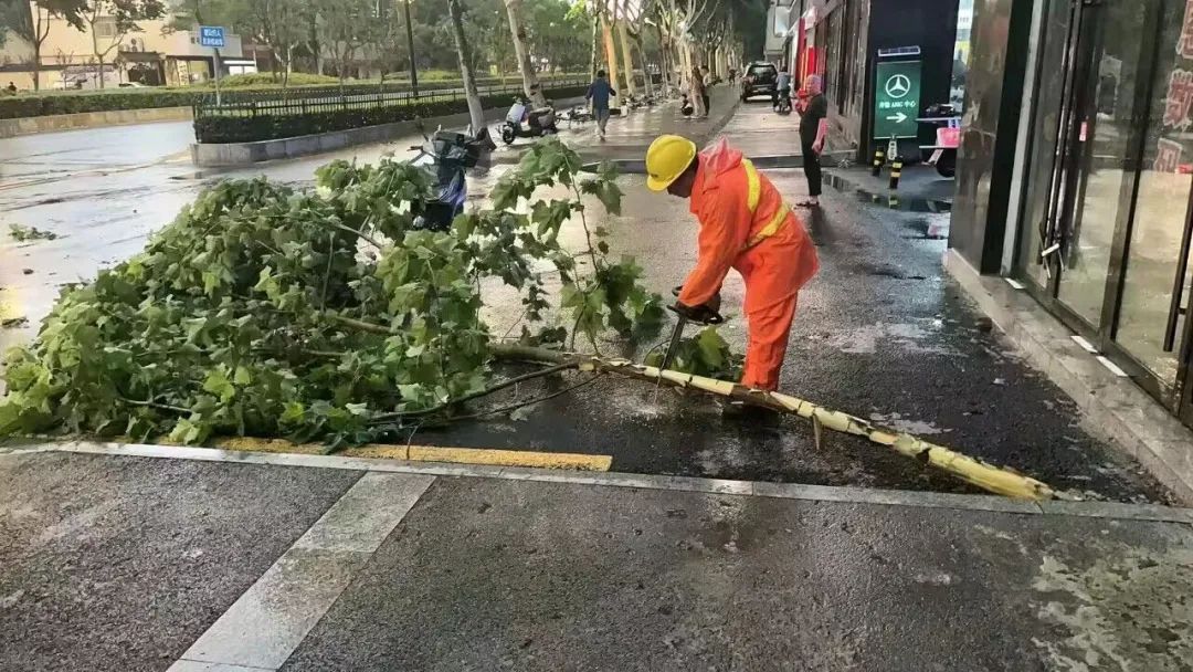 玄武区龙蟠中路