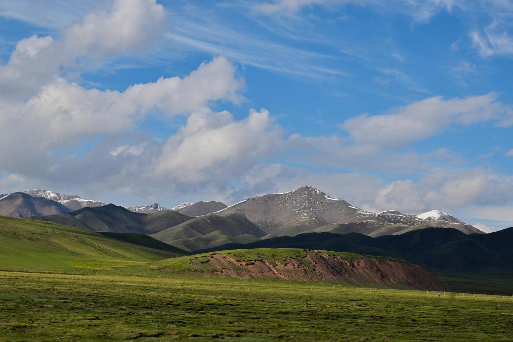 这是6月9日在青海省黄南藏族自治州泽库县拍摄的高原草原.