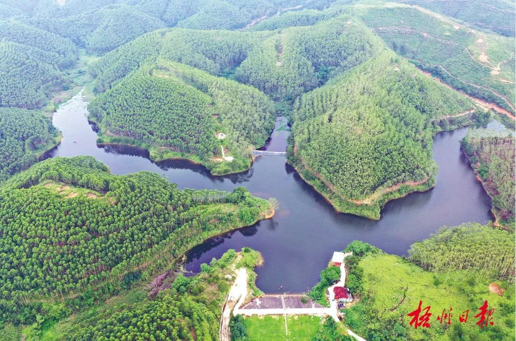 藤县濛江镇新安村雀鸪冲水库,青山绿水,生态美如画.颜桂海 摄