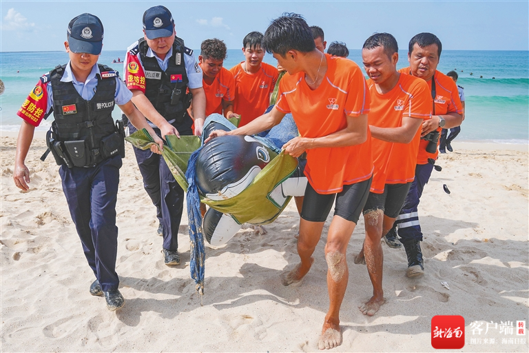 　　海岸警察和救援队人员救助搁浅“海洋动物”。记者 王程龙 摄