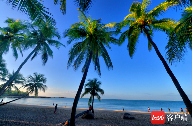 椰风海韵.三亚旅文集团供图