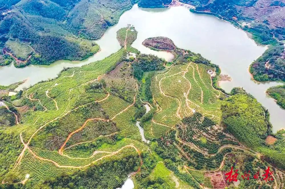 岑溪市归义镇永和桃花岛&nbsp; &nbsp;庞广蛟 梁菲菲 摄