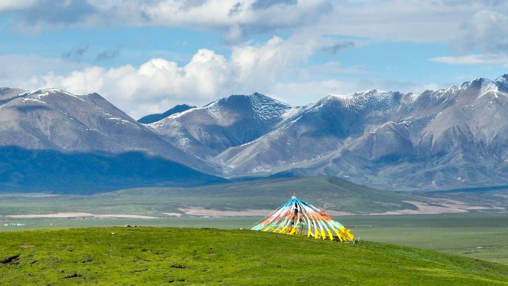 这是6月9日在青海省黄南藏族自治州泽库县拍摄的高原草原(无人机照片)
