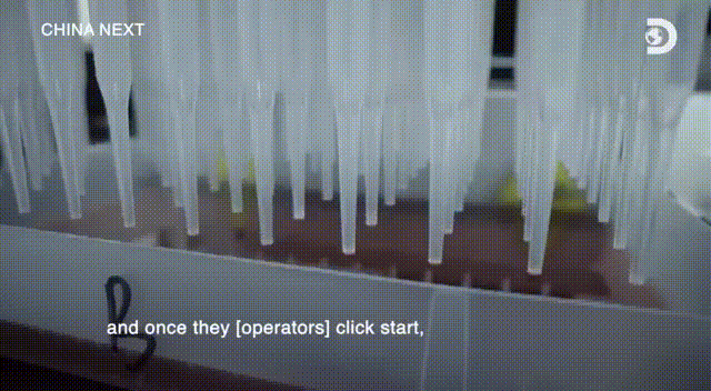 图源：《预见中国：从大湾区看未来》纪录片