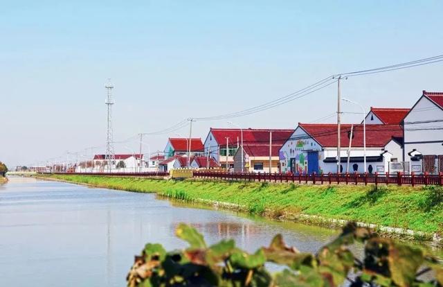 新朝河位于奉贤区头桥地区,属镇管河道,全长约5863米,河面宽度约28米.