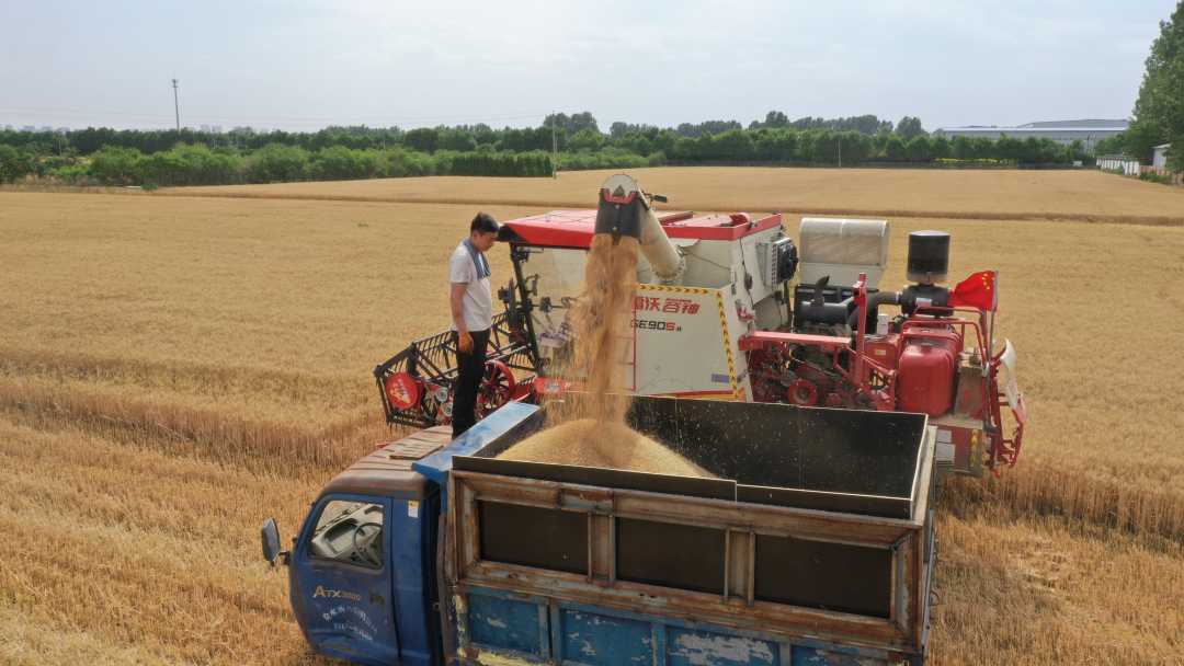 河北保定徐水区:修路养路护路 为"三夏"保驾护航|收割机_新浪财经_新