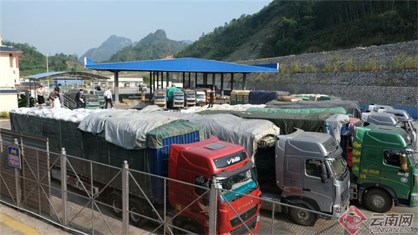 供应链管理：企业发展的关键驱动力