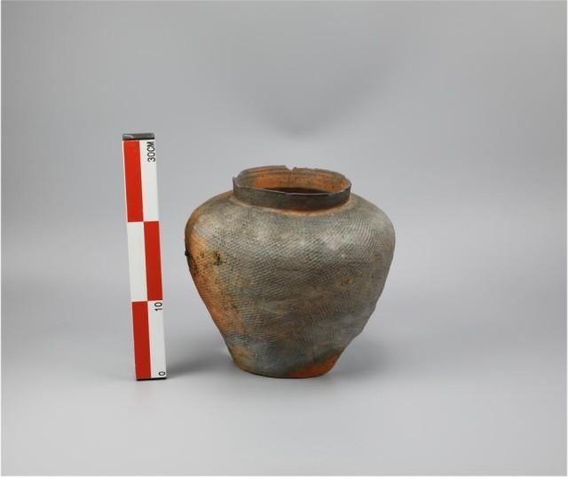 图为南山遗址出土的印纹硬陶罐.