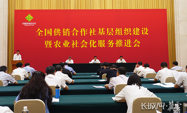 全国供销合作社基层组织建设暨农业社会化服务推进会现场.