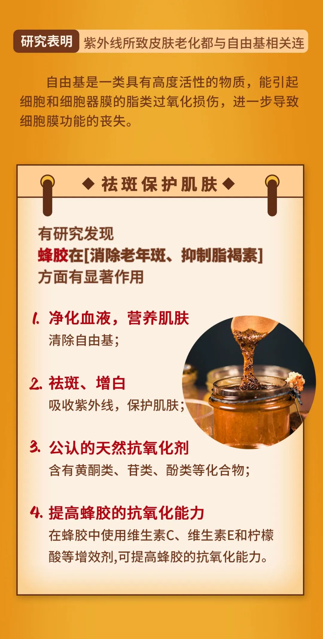 蜂胶的功效与功能?(蜂胶的功效与功能) 蜂胶的功效与功能?(蜂胶的功效与功能)