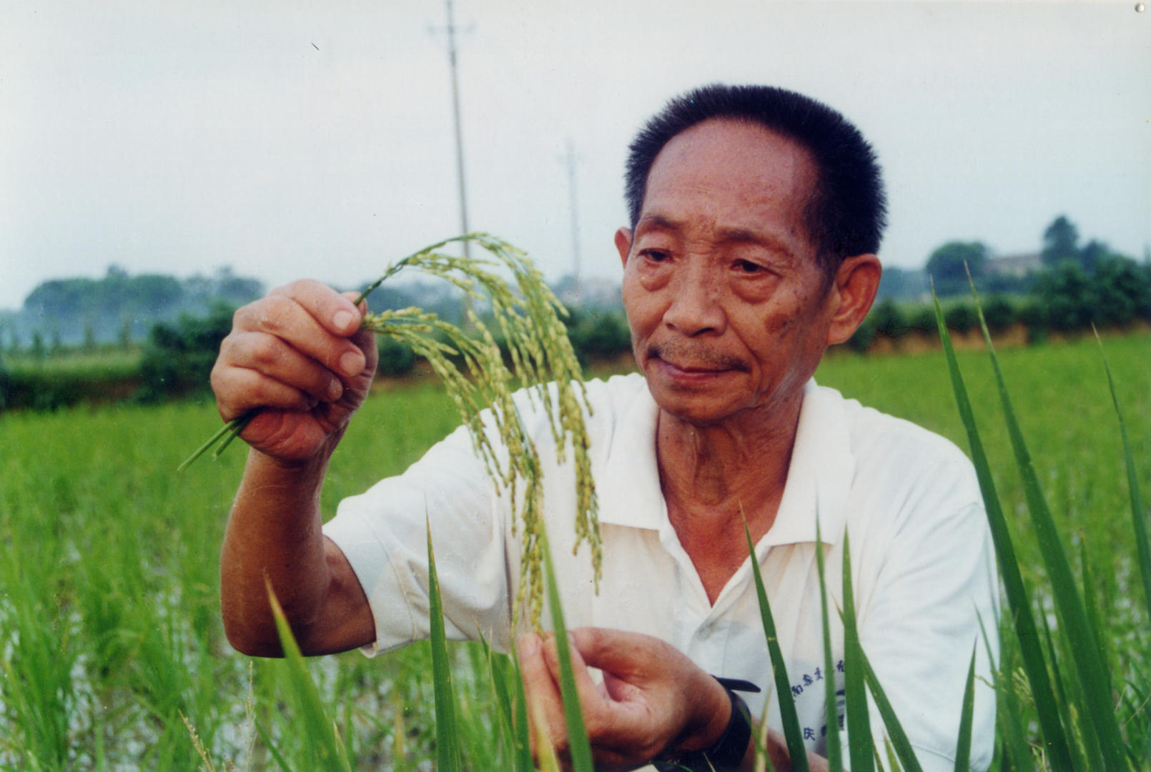 袁隆平简历个人图片