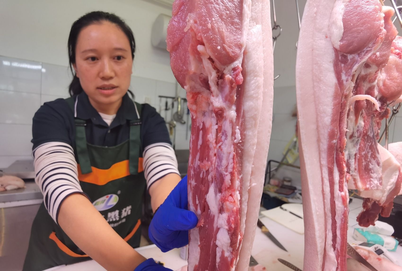 四川首个生猪母本新品种"天府黑猪"问世 产学研联合做强这张"猪芯片"