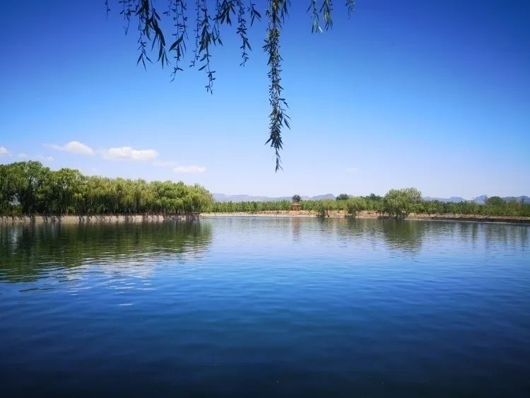 栾卸村太极湖.李自岐摄
