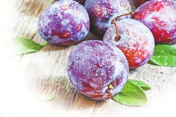 "麦收时节,黄澄澄的杏,青里透红的桃子,紫色的李子纷纷上市.