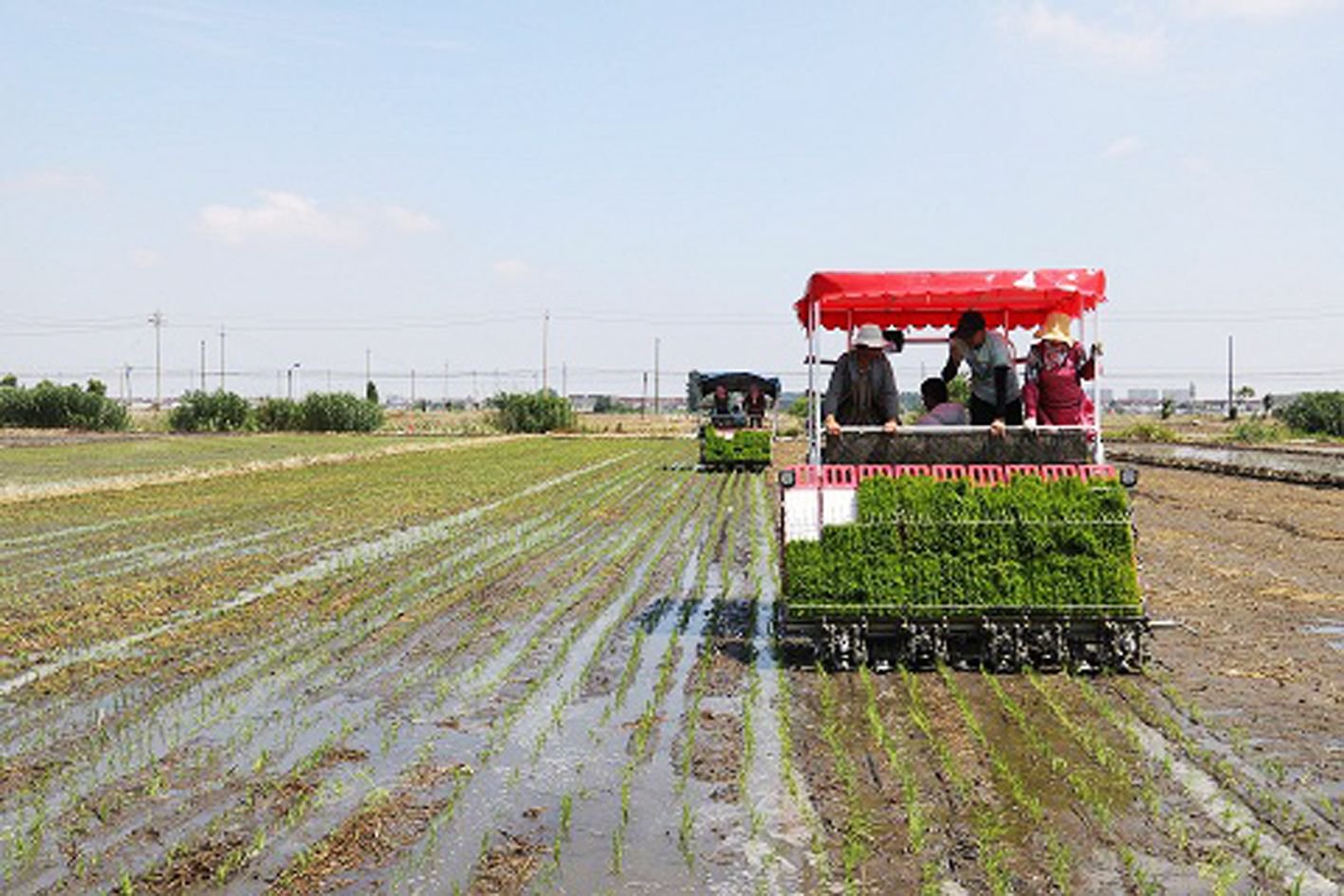 插秧机忙作业. 资料图片
