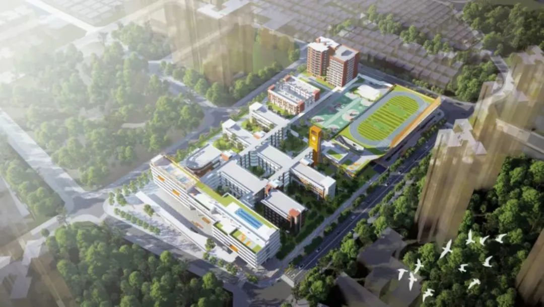 龙湾中学效果图