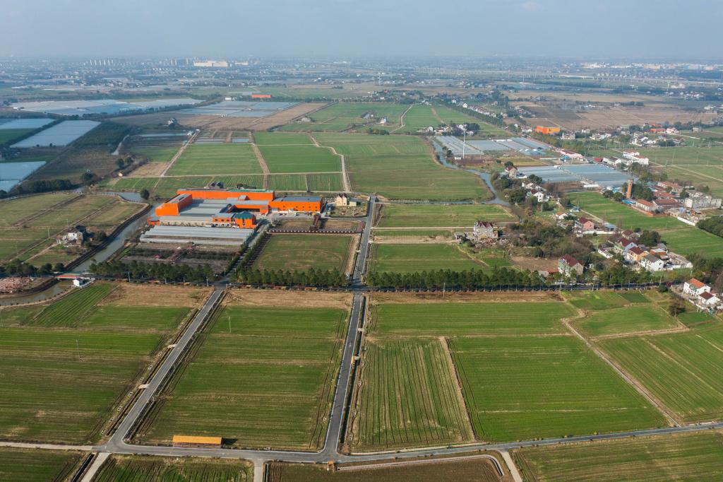 位于嘉兴市南湖区余新镇的大片高标准农田.新华社记者 徐昱 摄