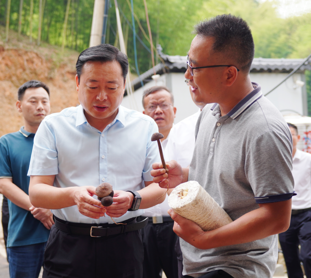 熊炜赴桃江县调研竹旅文体康产业融合发展等工作