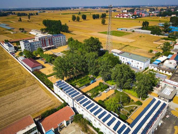 河南省安阳市滑县瓦岗寨乡政府院内铺满了正在晾晒的小麦.