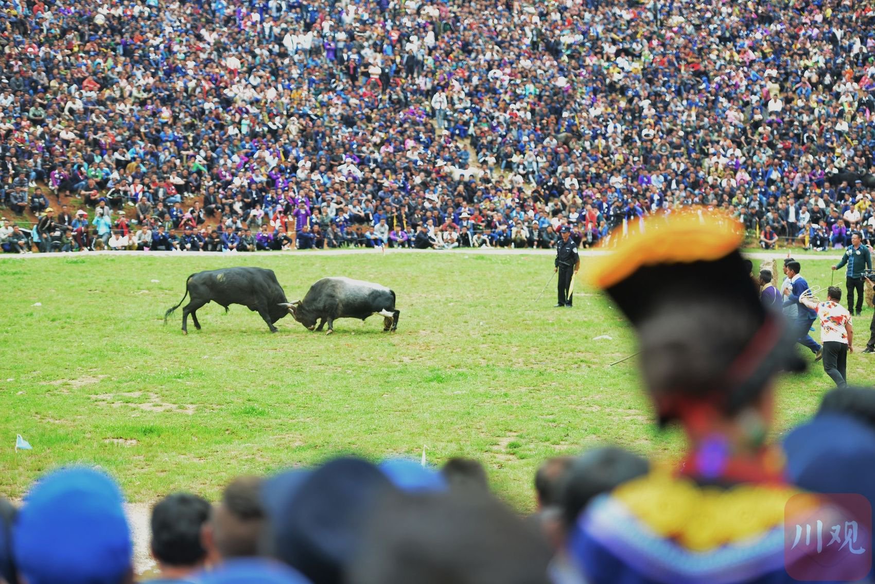 凉山彝族火把节将于7月20日至8月30日举行|文旅_新浪财经_新浪网