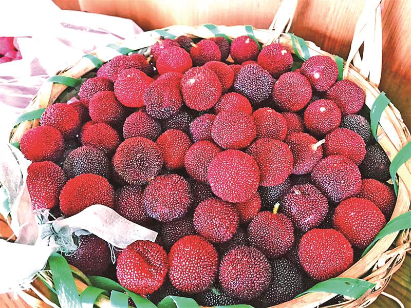 不负人间"六月鲜" 杨梅,马山古竹日收件量破4000单|杨梅_新浪财经