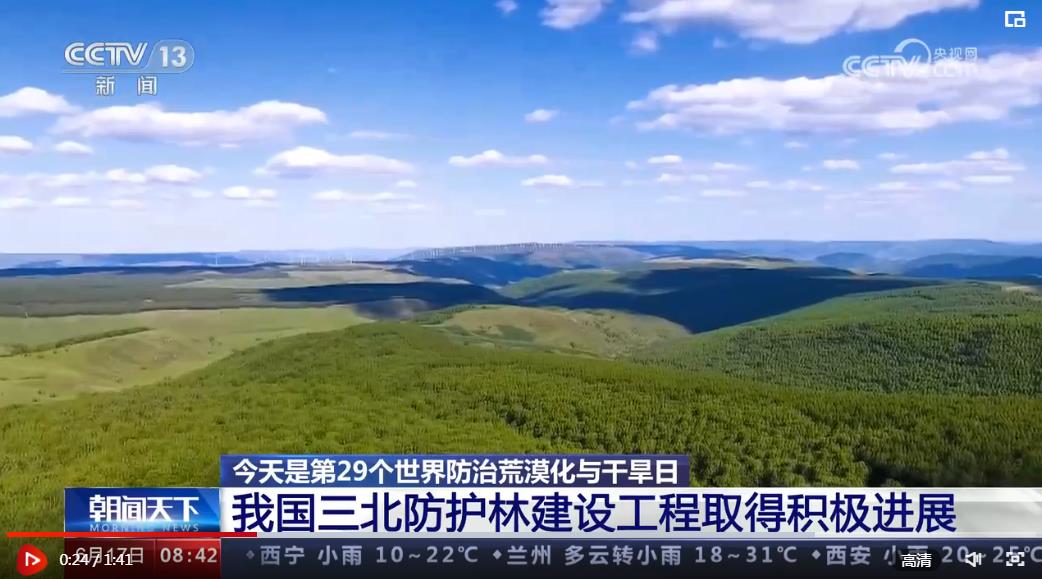 我国三北防护林建设工程取得积极进展 实现历史性转变|林业_新浪财经