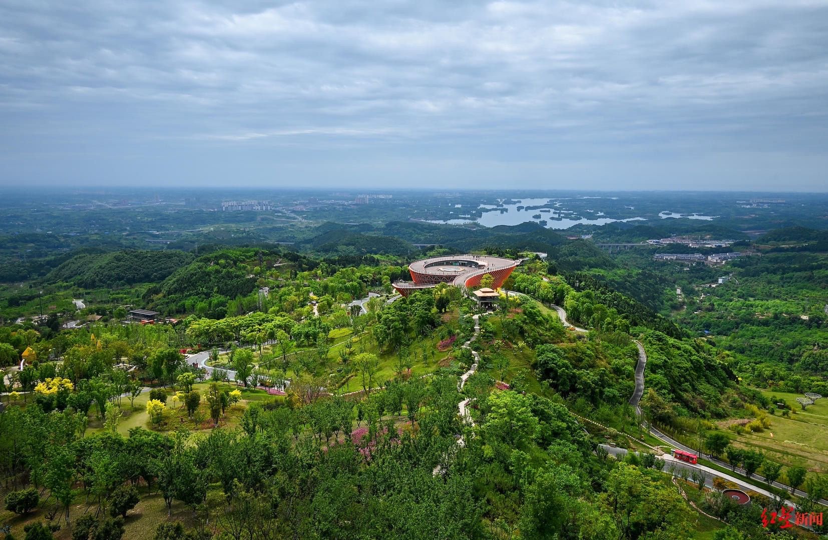 ▲龙泉山城市森林公园