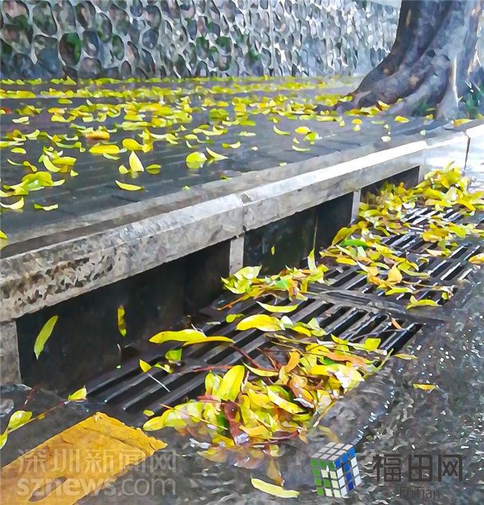 侧立式雨水箅,即便雨水平箅上堆积了树叶,雨水也可以从侧箅排入.