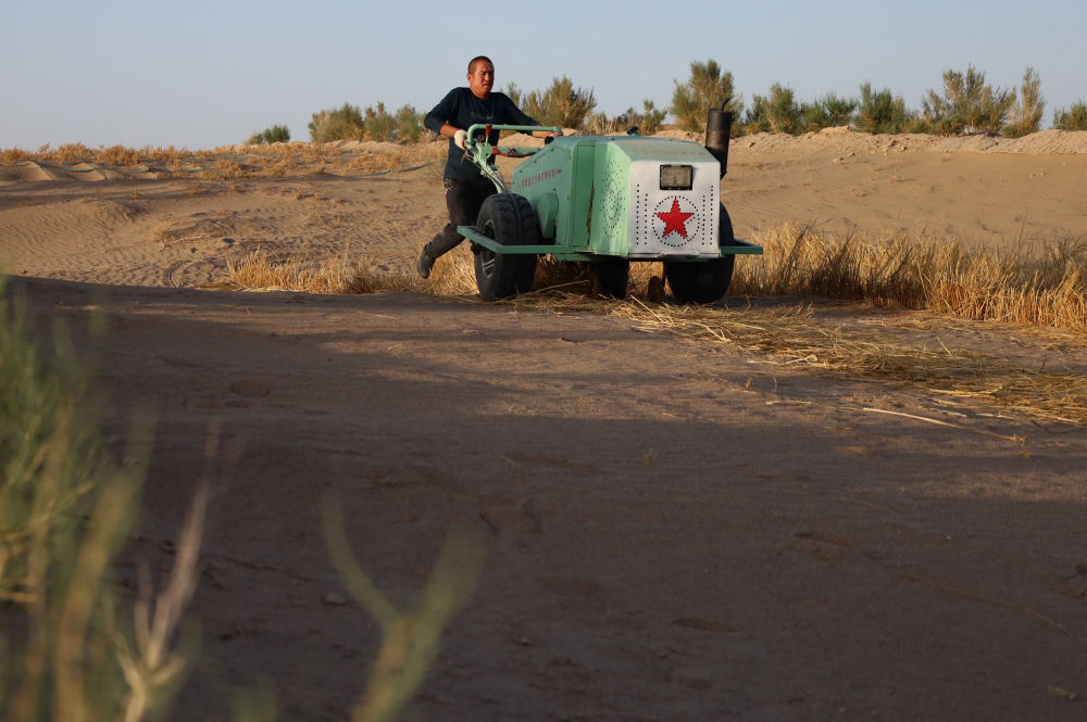 5月31日,武威市民勤县农民使用新一代手扶式沙障机压草方格.
