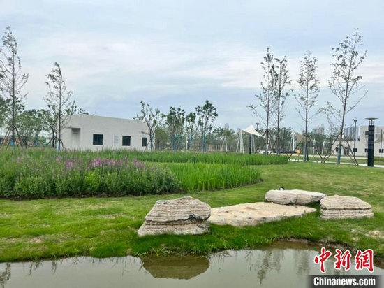 谌家矶再生水厂地面公园 张芹 摄