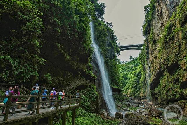 《恩施大峡谷——云龙地缝》组照四 陈正渝 摄