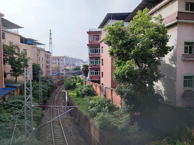 铁路线穿过井岗社区，从此向北不到两公里便是武昌站。 新京报记者 赵敏 摄