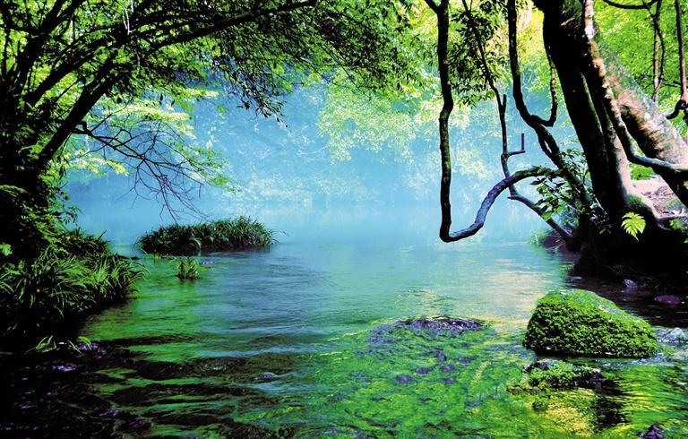 城在林中缀 人在画中游|林中_新浪财经_新浪网