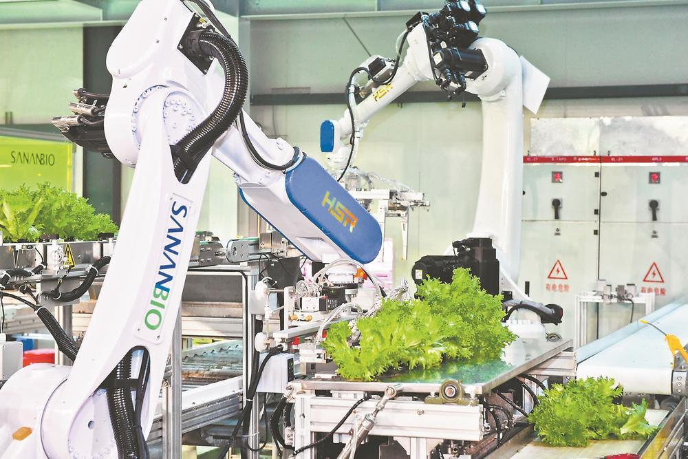 72 16日,在中科三安植物工厂,自动机械臂定点定时进行操作.