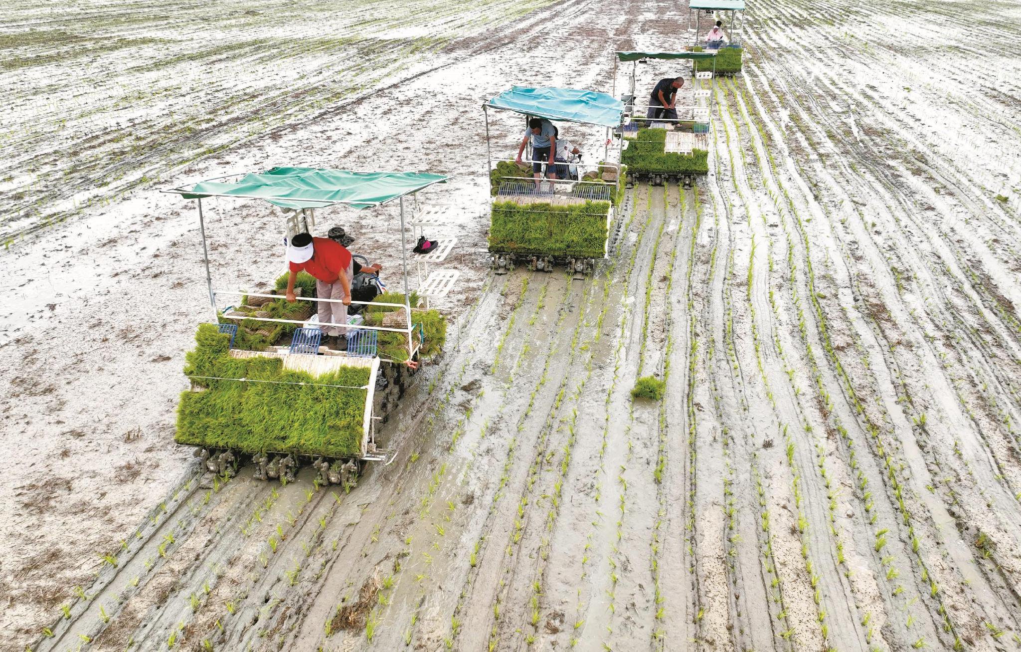 本报通讯员 刘勤利 王克玲 摄