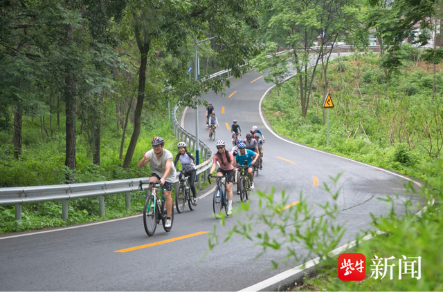 从佘村幕间咖啡出发,穿越茂密的山林道路,领略青龙山腹地的美丽风光